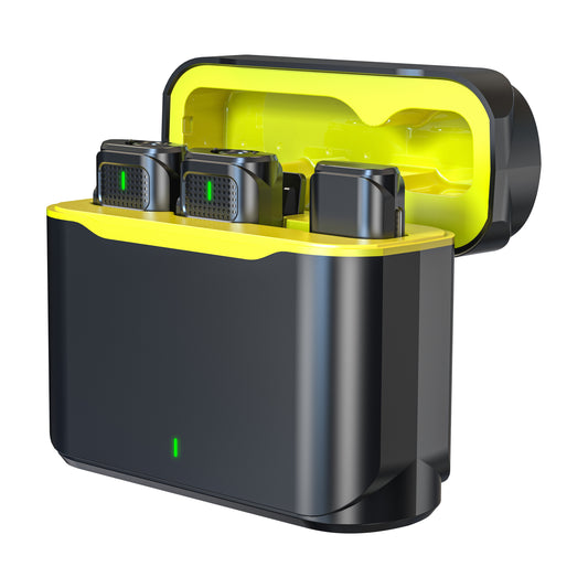 TDV8-2  Wireless microphone in charging case