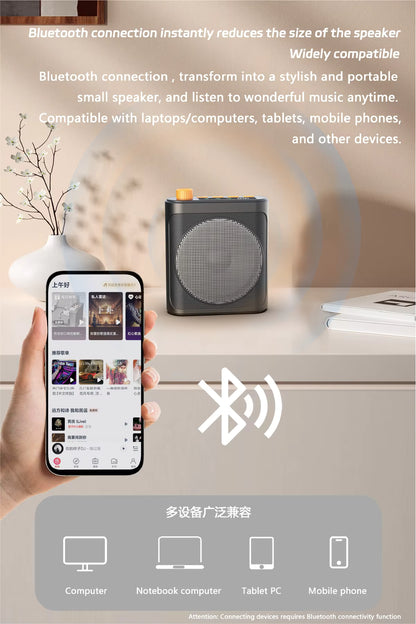 Wireless microphone amplifier