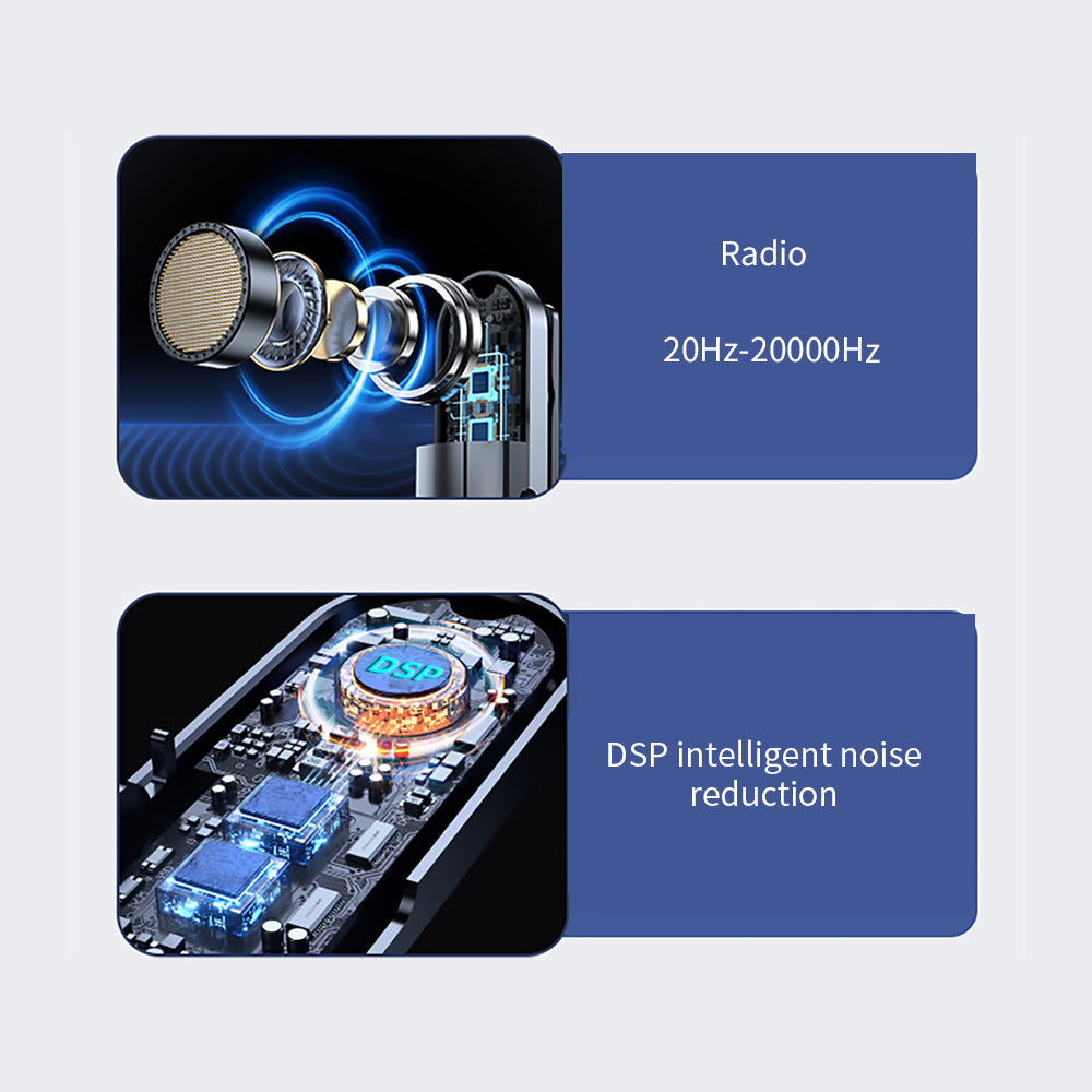 TDM8  Wireless microphone with dual transmitters